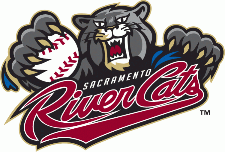 Sacramento River Cats 2007-Pres Primary Logo iron on paper